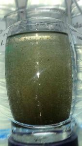 โพลิเมอร์ประจุลบ ตกตะกอนทองและอื่นๆ