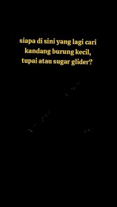 Sangkar untulan minimalist cocok untuk burung kecil dan hewan kecil lainya