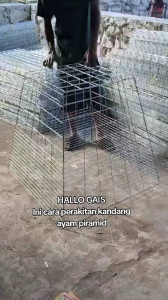 Kandang Ayam Model Piramid Uk 80x70x50 Terlaris Cocok Untuk Jemur Ayam & Ayam Aduan