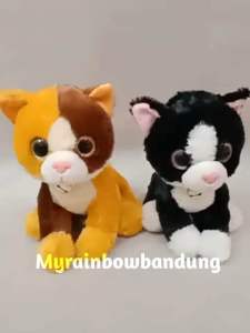 Boneka Kucing Cat Colour Mata Besar 3 Warna oleh Seulgi
