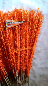 Bendera Aqiqah 100PC FREE Cetak Foto Uk.17R