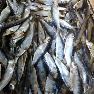 Tuyo Dried Fish Vacuum Sealed 100 grams