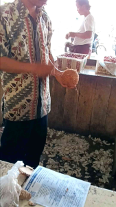 patik kelapa/butik kelapatwbang bambu/kayubaja per asli