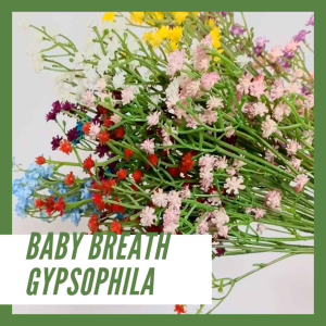 Bunga Baby Breath Gypshophila AF50 Artifisial Dekorasi Buket Wisuda Backdrop Wedding Flower Bouquet