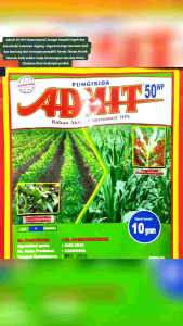 4 pcs Admit 50 WP Demetomorf  kemasan 10 gram Ahlinya Treatment benih jagung saat mau tanam dan pencegahan dan atasi BULAI jagung. juga untuk cegah karat daun pada padi.