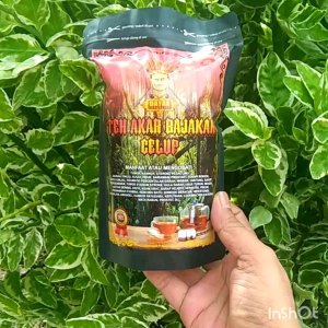 teh akar kayu bajakah kalalawit merah Kalimantan isi 30 pcs-bonus 1 botol minyak urut dayak 250 ml