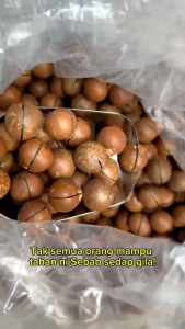 Kacang Macadamia Premium Sedap Rangup Harga borong Packing Ziplock 💯 Original Fresh Kacang macadamia ada Kulit Snek