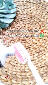 pemutih gigi ampuh pasta pemutih gigi sr12 pasta gigi siwak dan Charcoal menghilangkan karang gigi