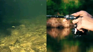 Umpan Pancing Minnow Sinking Ultralight 5cm/5gr: Panduan Lengkap