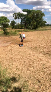 ผลิตภัณฑ์ปรับปรุงดินเสียให้มีชีวิตชีวาแบบธรรมชาติ