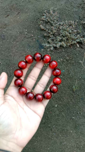 gelang tasbih akar Bahar Taliarus merah asli dim 16mm 100% Original