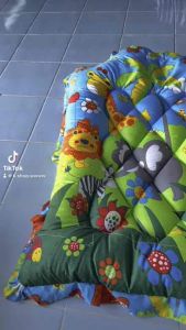 ที่นอนเด็กอนุบาล รุ่นหนานุ่ม ใย2 ชั้น จัดส่งแบบเอกชน1ถึง3วันถึง