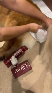 Fellower - Spray Indoor สเปรย์ทำความสะอาดก้นและอุ้งเท้าสุนัข กำจัดเชื้อโรค สุนัขคันเท้า คันก้น  (สูตรไม่มีแอลกอฮอล์)