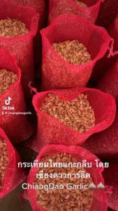 กระเทียมไทย แกะกลีบเบอร์ 4 (เล็กสุด) กก