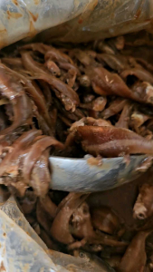 ปลาร้าปลาซิวโหน่งทนายตั้ม  ขนาด 1 กก.