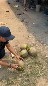 Golok Berkebun Bahan Per Mobil Asli Banten