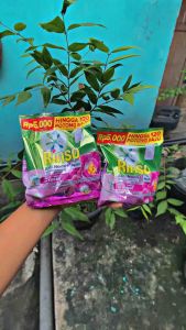 RINSO BUBUK 5000 AN 1 KARTON ISI 18 PCS