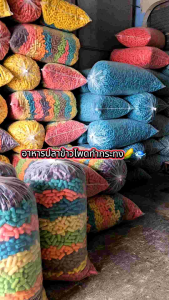 (ถุงใหญ่จับ)อาหารปลาข้าวโพดทำกระทงแน่เนื้อ คละสี58cm น้ำหนักประมาณ4.2-4.5โล (1คำสั่งซื้อต่อ1ถุง)