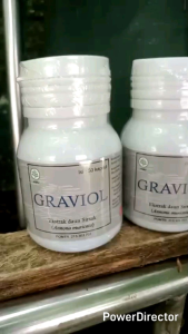 Obat Herbal GRAVIOL ( Obat Kanker Stadium Berapapun )