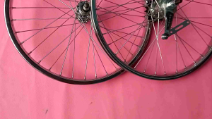 Roda Lowrider 20 Vintage (Coaster Brake)