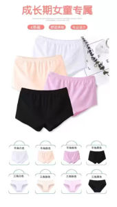 3PCS Teenager Panty Girls PantyHigh Quality Cotton Kids Underwear/panties/Brief- Girls (seluar dalam) (code:12)