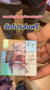 ของเล่นรูบิคฝึกสองลายหมูเด้งสุดฮิต สินค้าพร้อมส่ง