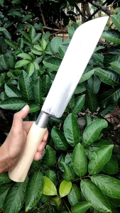 PISAU PEMOTONG DAGING MODEL GARPU BAJA PER MADURA paksi tembus