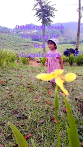 Dress bayi perempuan 6 bulan dres anak kekinian (PILIH PAKET HEMAT ISI 4 MOTIF RANDOM)