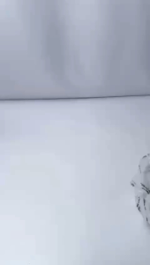 CARLINA BAG JIMSHONEY TAS WANITA SHOULDER BAG SLING BAG