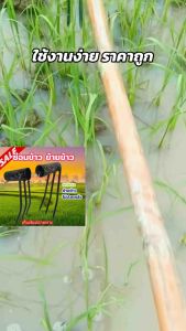 เหล็กซ่อมข้าว คราดซ่อมข้าว ขนาด6หุน ไม้ย้ายข้าวในนาแทนการปักดำไม่ปวดหลังสะดวกรวดเร็วมีความแข็งวัสดุจาดเหล็กกาวาไนท์