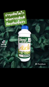 กันดั้ม ปุ๋ยเคมีธาตุอาหารหลัก บำรุงให้พืชเติบโตแข็งแรงตั้งแต่รากจนถึงยอดและผล ฟื้นฟูให้พืชฟื้นตัวได้ดีขึ้น ใช้ได้กับพืชทุชนิด เพิ่มภูมิคุ้มกันโรคเชื้อรา  และเสริมประสิทธิภาะสารเคมีได้ดี ขนาด 1 ลิตร ใช้ได้ถึง 20 ไร่ ผสมน้ำได้ 1000 ลิตร (ชนาด 1 ลิตร)