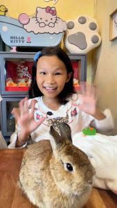 Pink/White Bunny Design Pet’s Jumpsuit / Sweater / Costume for cats and small breed dogs