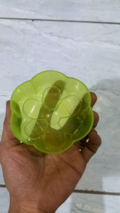 2 pcs cetakan agar tunggal 10 cm