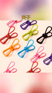 🇲🇾Readystock🇲🇾Nylon Coated Plastic Laundry Clips 多功能浸塑小夹子 Clothes Peg Clothpins Cloth Clips Penyepit Baju Besi Klip Baju