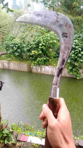 ALAT BERKEBUN PANGKAS RANTING DAN RUMPUT