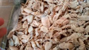 Baby cumi asin kering/Baby cumi Asin 500 gram