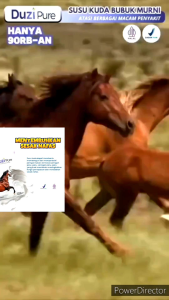 Duzipure susu kuda original susu kuda duzi bukan sky goatamhspshijazspsgmhnaima hpai