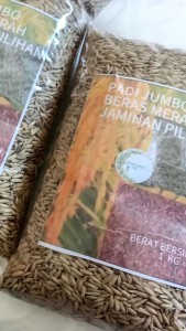 Benih Padi Jumbo Beras Merah Pilihan Unggul 1 Kg