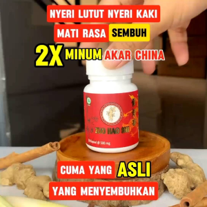 Zuo Hao Shi Obat Herbal Ampuh Cina Ginseng Atasi Nyeri Sendi Saraf Kejepit Cekot-Cekot Linu Rematik
