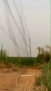 JARING BURUNG HITAM PANJANG 25 METER X TINGGI 3 METER UKURAN 1.3/4 INC