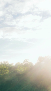 MENS OIL BOOSTER spray tahan lama Original mengatasi ejakulasi Dini