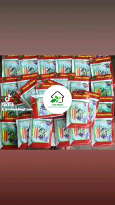 hạt giống Ớt chỉ Thiên 152 An Phú Nông gói 5g