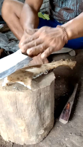 golok buat cacah tulang sapi bambu kayu dll.