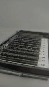 Bulumata Tanam Eyelash Extension DD-CURL