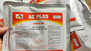 100g Amoxicillin 50% Hàm lượng cao
