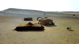 Chinlin Spade Sekop Multifungsi Tactical Self Defense Shovel - HW901 - Silver