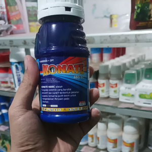 KONATE 460SC 250ml | Asosistrobin + difenokonazol untuk tanaman | Fungisida + ZPT seperti Amistar