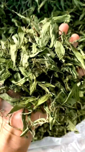 Cỏ ngọt (nguyên lá không cành) sấy lạnh 100g