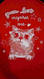 Kaos Atasan Wanita Lengan 3/4 & Kaos Raglan Wanita Sablon Kucing