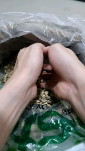 Flores Arabika Biji Kopi Mentah 1KG Arabica Coffee Green Beans